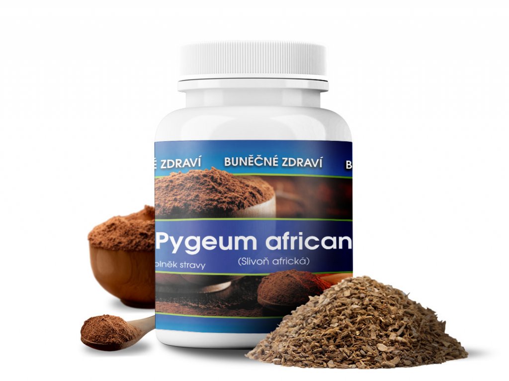 Pygeum africanum